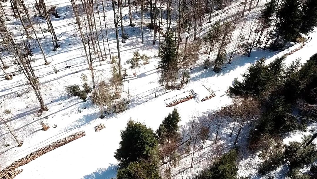 Green Justice : quand la nature porte plainte