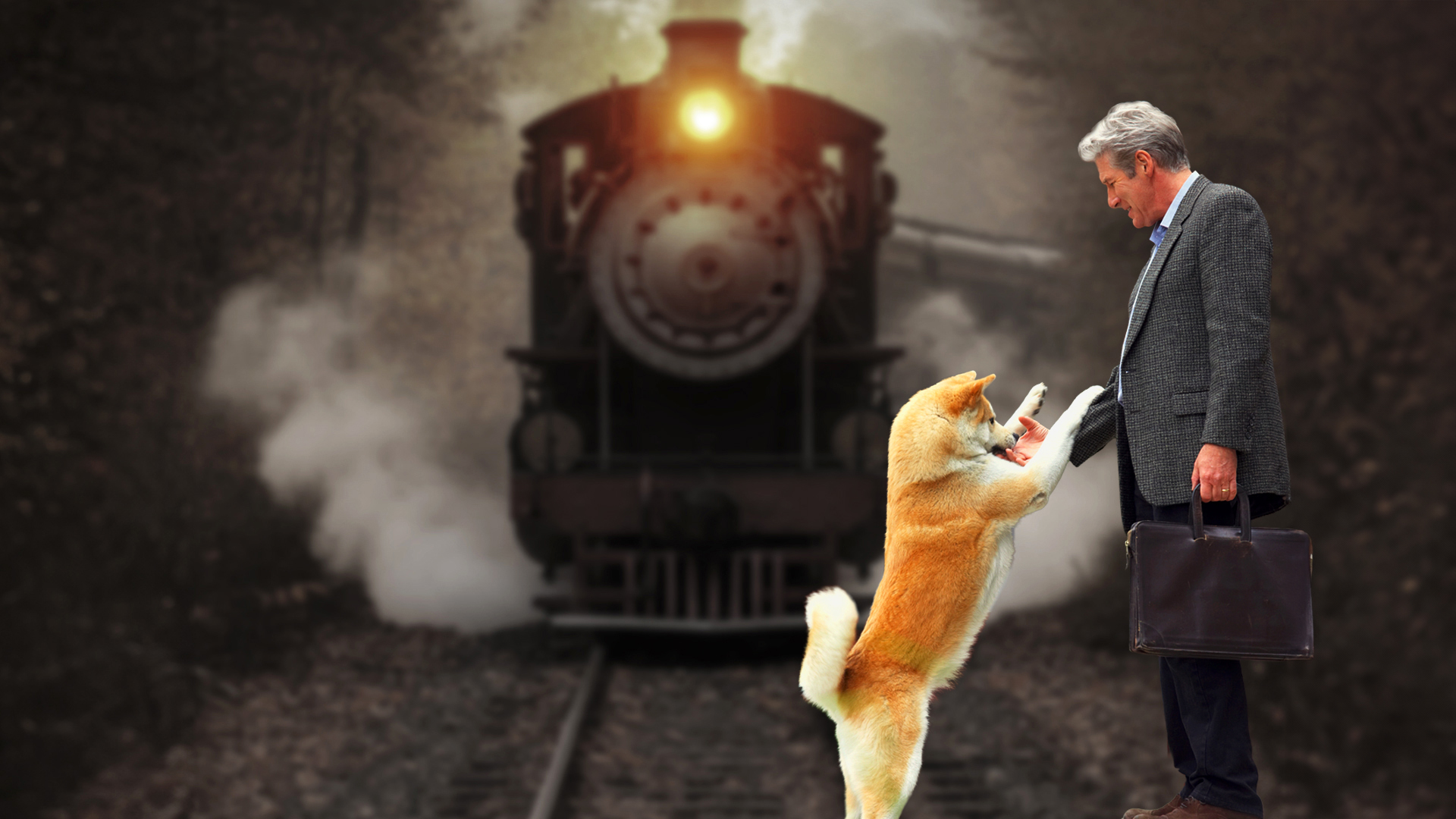Prime Video: Hachi: A Dog's Tale