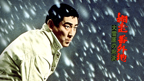 網走番外地  決斗零下30度 [Blu-ray] n5ksbvb Amazon.co.jp: 網走番外地 決斗零下30度 [Blu-ray] : 高倉健, 嵐
