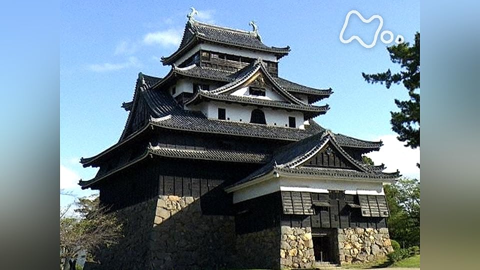 Amazon.co.jp: 絶対行きたくなる！ニッポン不滅の名城を観る