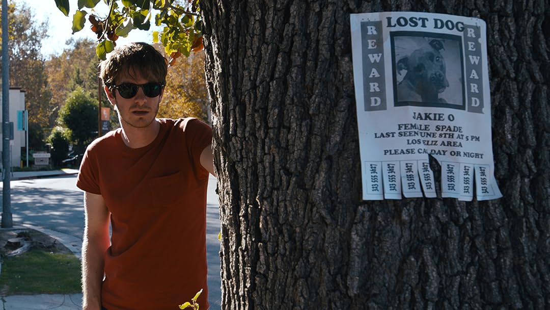 Under the Silver Lake