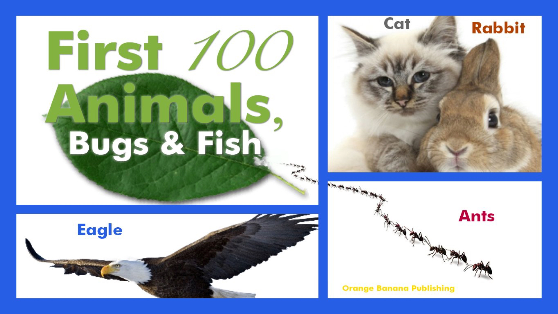 Watch Special Kids Speech & Skill Development - Animals