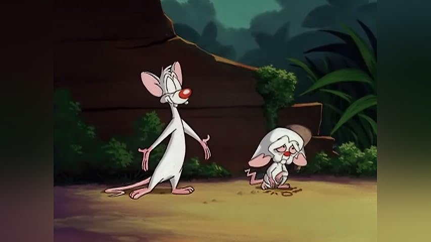 ワーナーブラザース　ピンキー&ブレイン Pinky and the Brain: The Complete Series (DVD): Amazon.ca