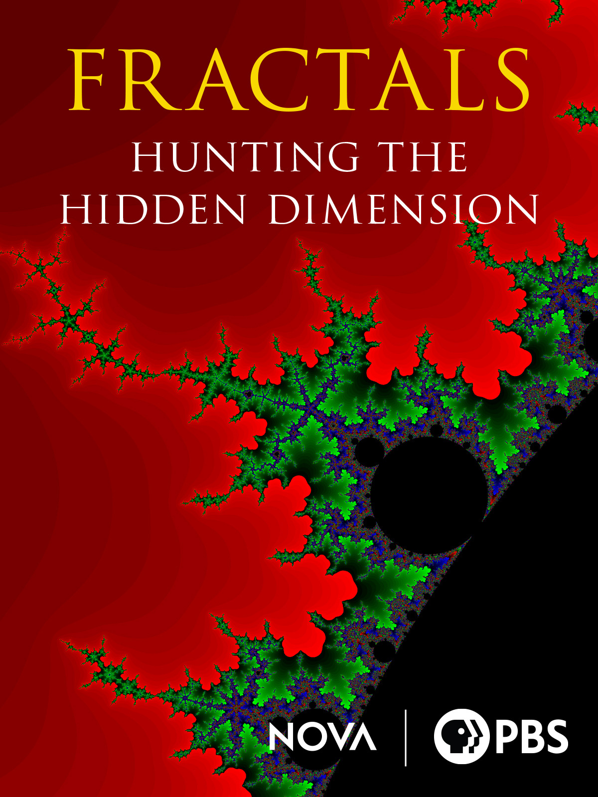 Prime Video: Fractals: Hunting the Hidden Dimension