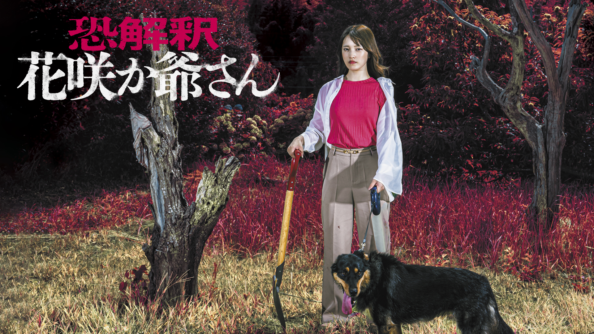 Amazon.co.jp: 恐解釈 花咲か爺さんを観る | Prime Video