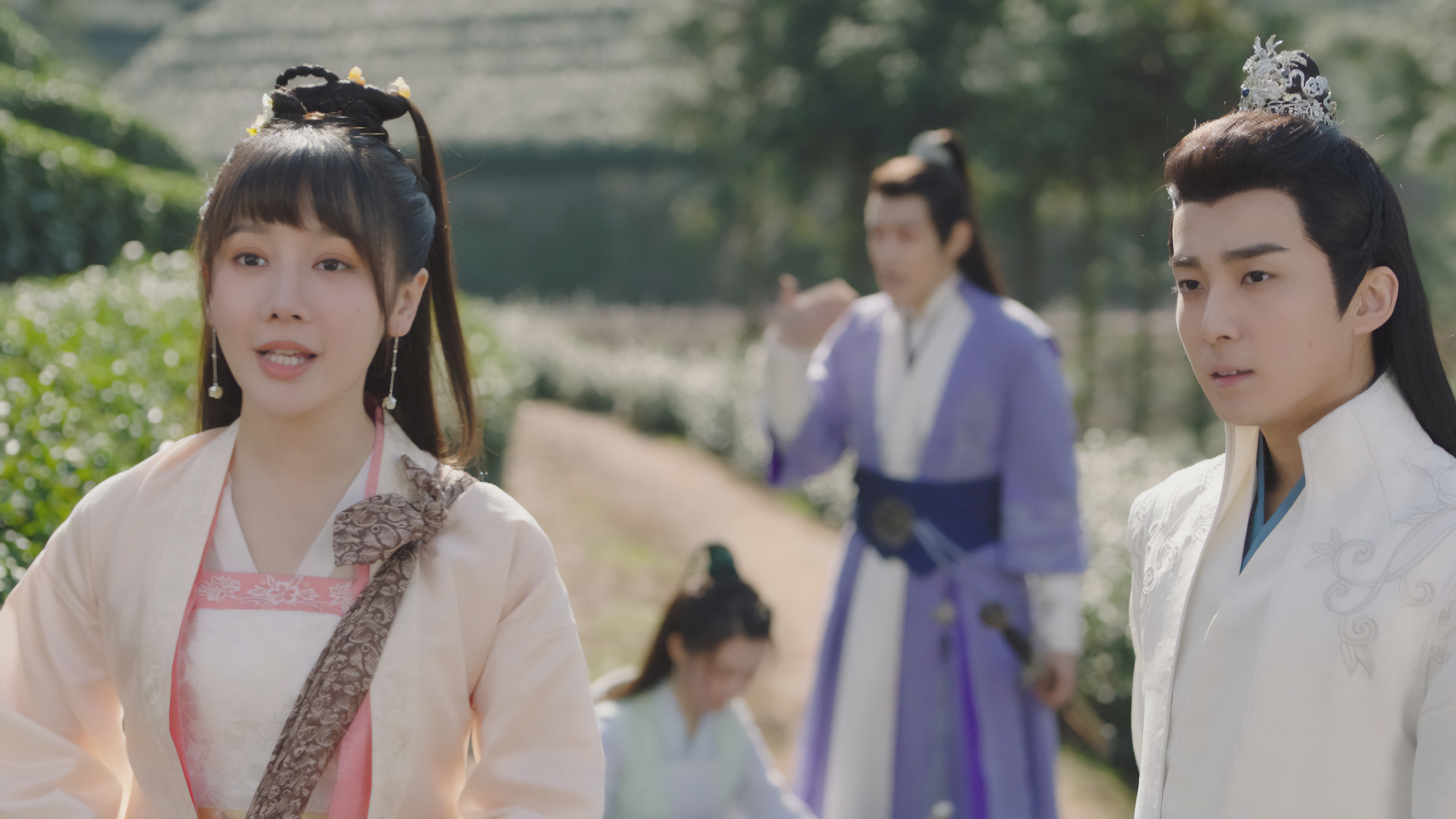 ロマンスは椿の花のように　DVD全巻セット　全12巻 ロマンスは椿の花のように DVD全巻セット 全12巻 Amazon.co.