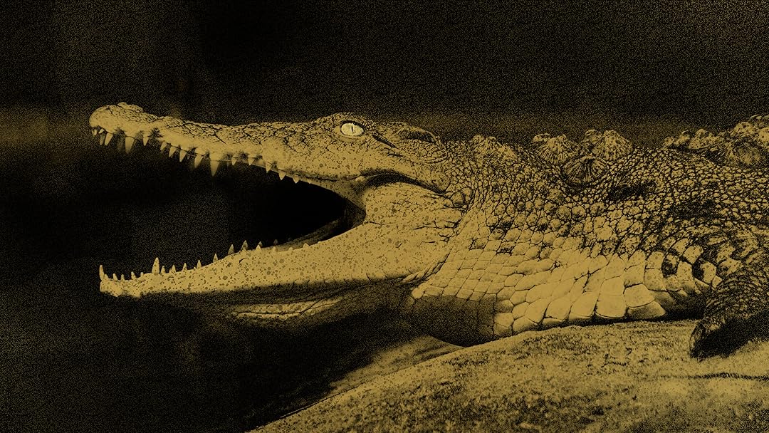 Gator Boys