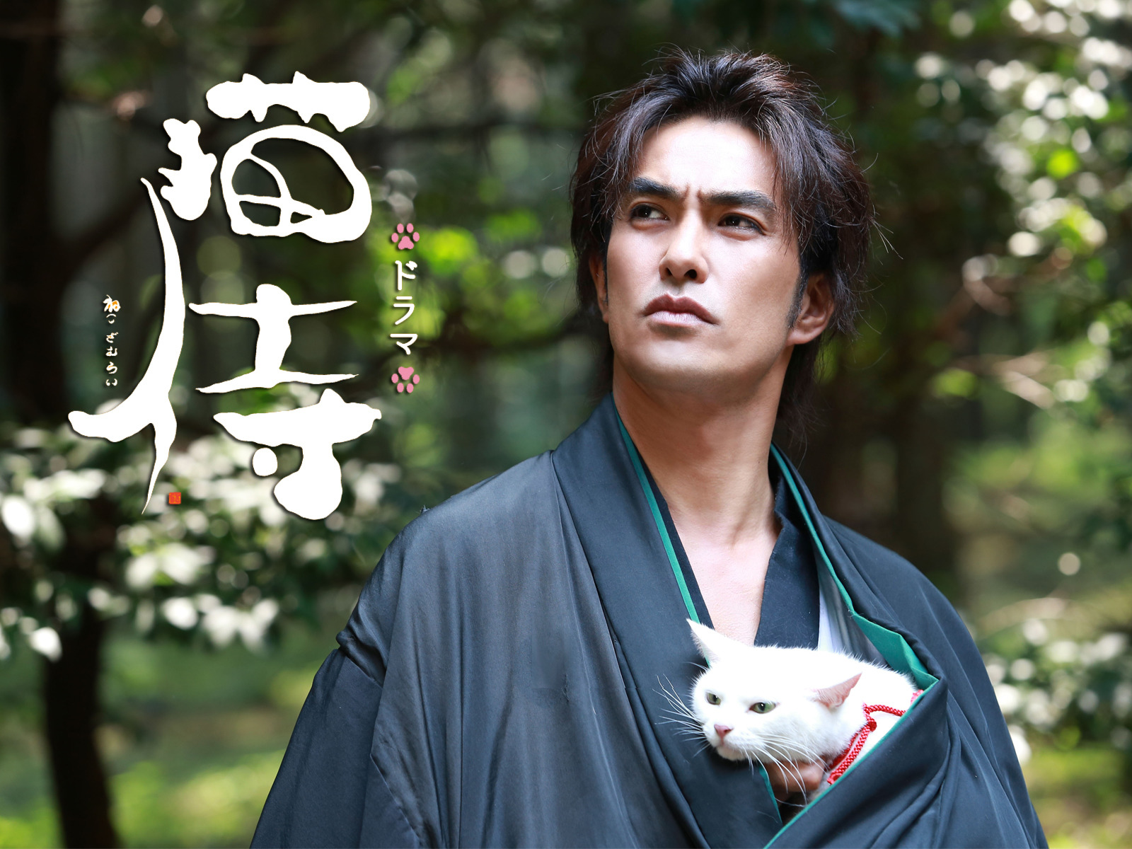 Amazon.co.jp: ドラマ版 猫侍 SEASON1を観る | Prime Video