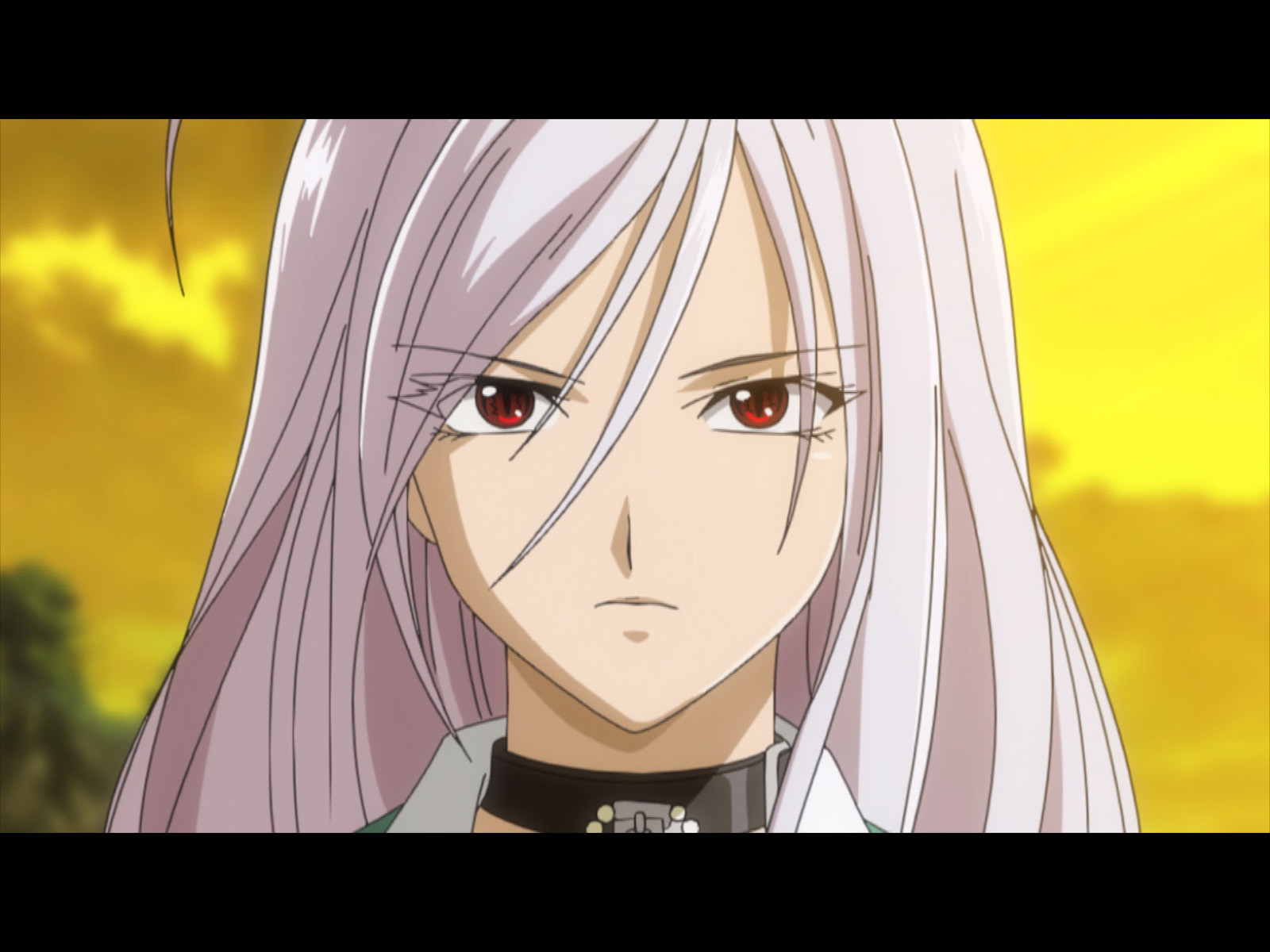 ロザリオとバンパイア 8体コンプリート ロザリオとバンパイア 8体コンプリート ロザリオとバンパイア