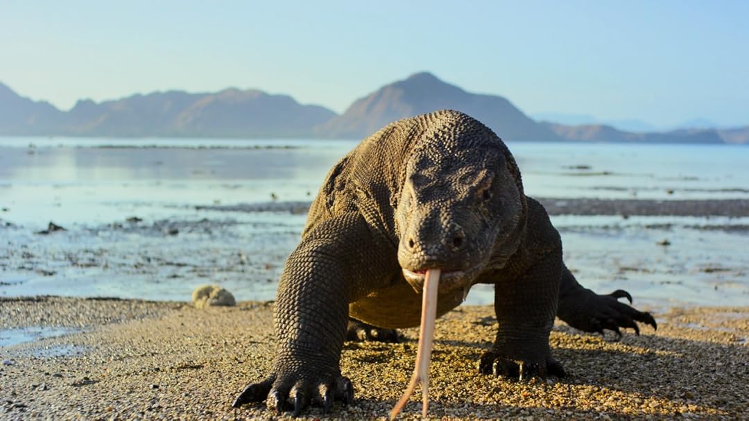 Planet Earth II [Ultra HD]