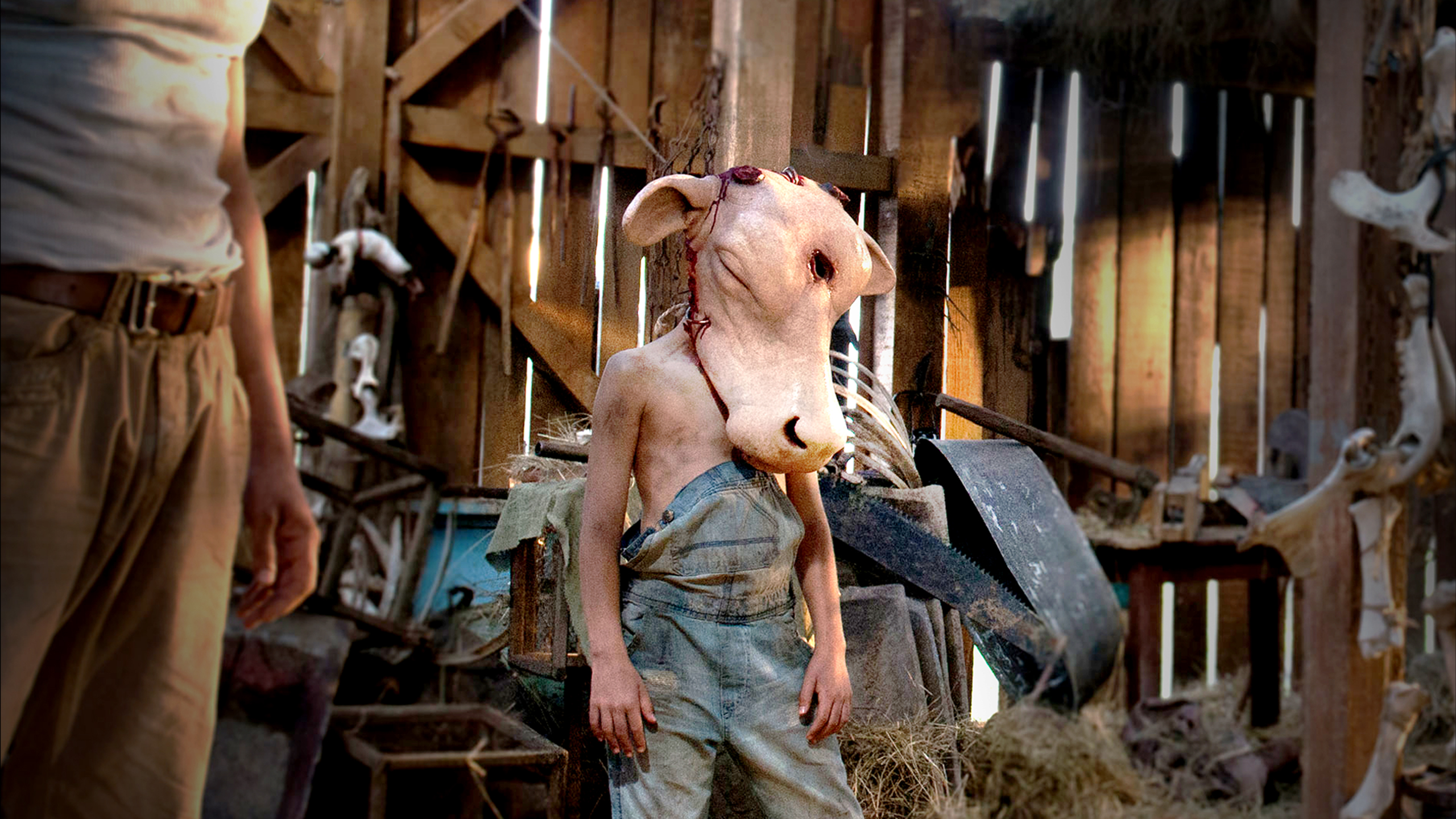 676c9eee55ec9cd01b6290ca500114