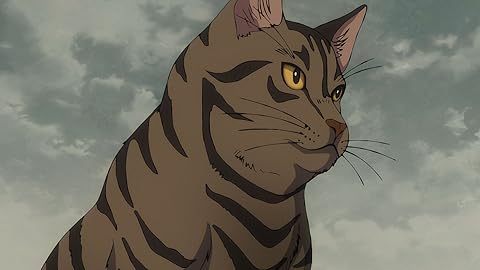 アンダーニンジャ