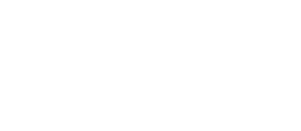 The Lazarus Project