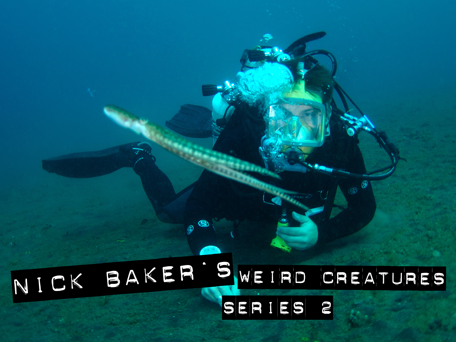 その他 Weird Creatures With Nick Baker Series 2 [DVD] Amazon.com: Weird Creatures with Nick Baker: Series 2