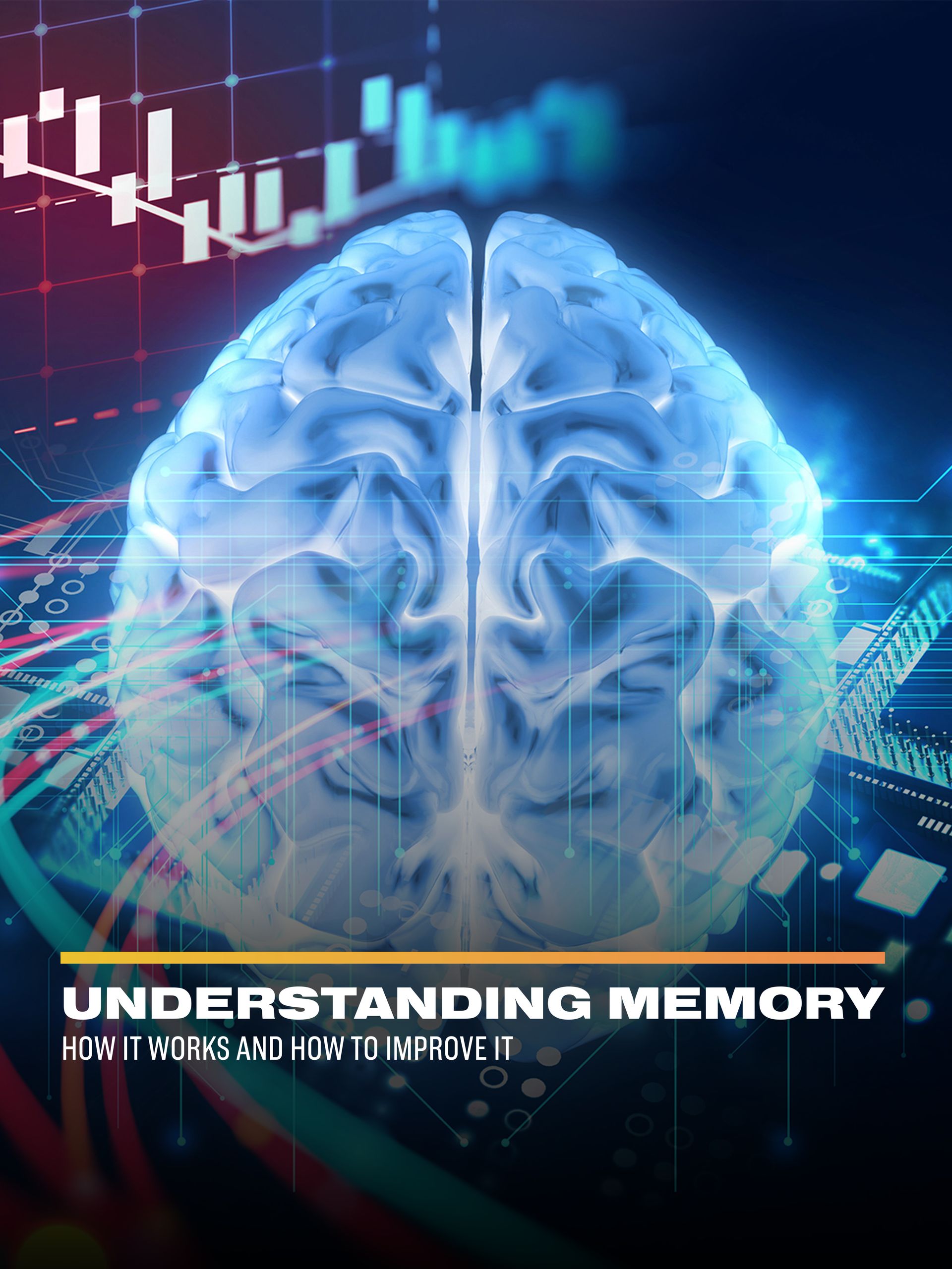 Prime Video: Understanding Memory: How it Works and How to Improve it