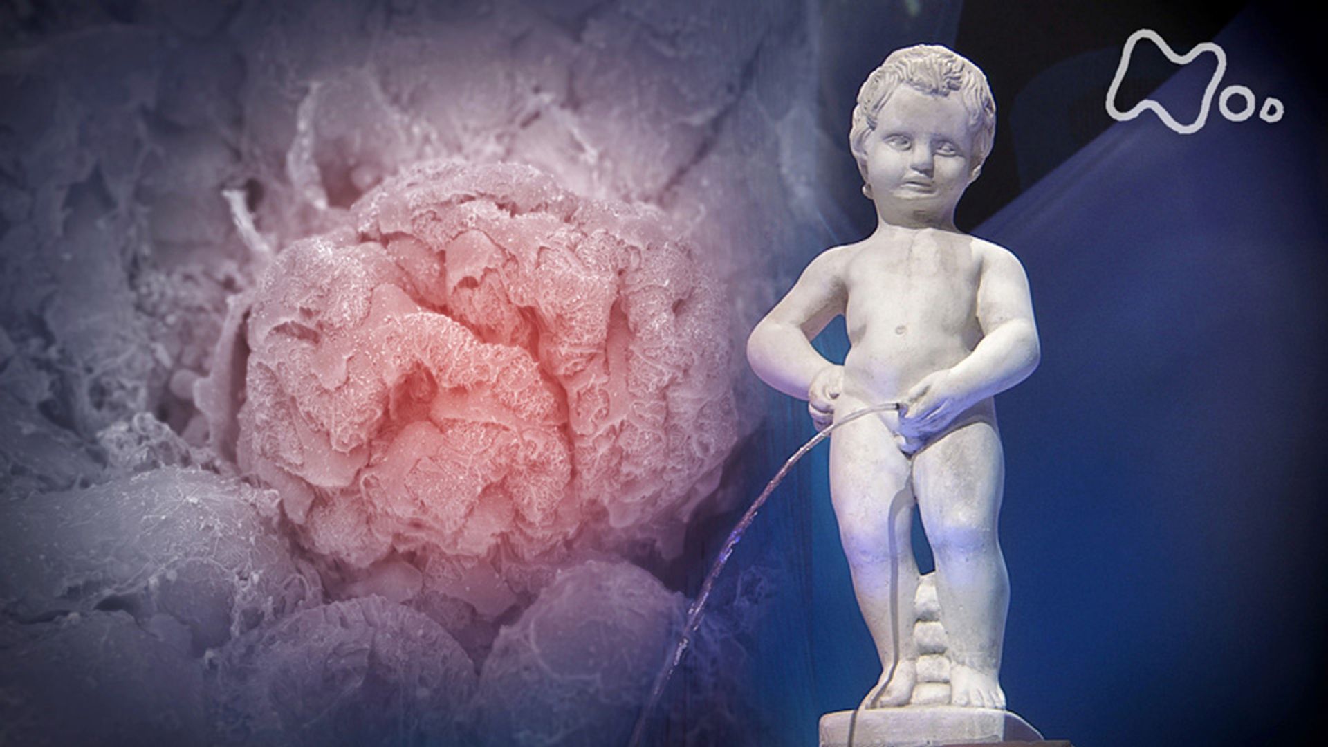 Prime Video: NHKスペシャル シリーズ 人体 神秘の巨大