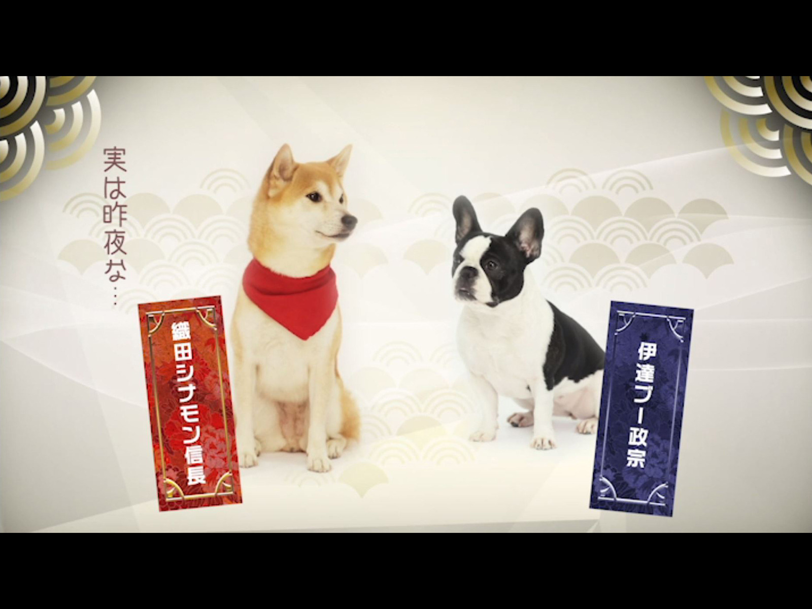 Watch わん次元！織田シナモン信長 | Prime Video