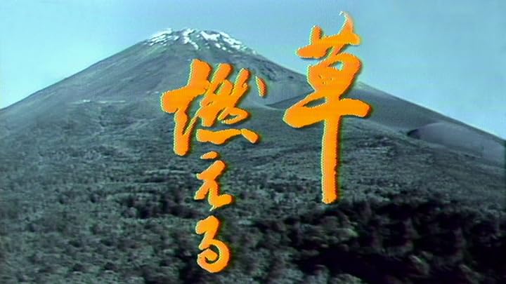 大河ドラマ 草燃える 総集編(NHKオンデマンド)を観る | Prime Video