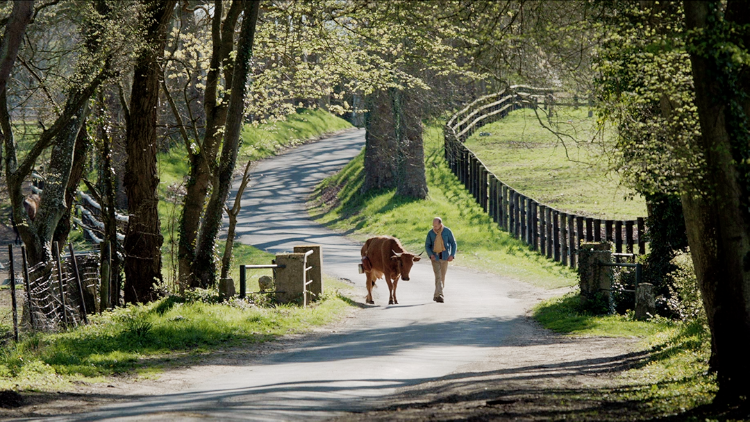One Man and his Cow (English Subtitled)