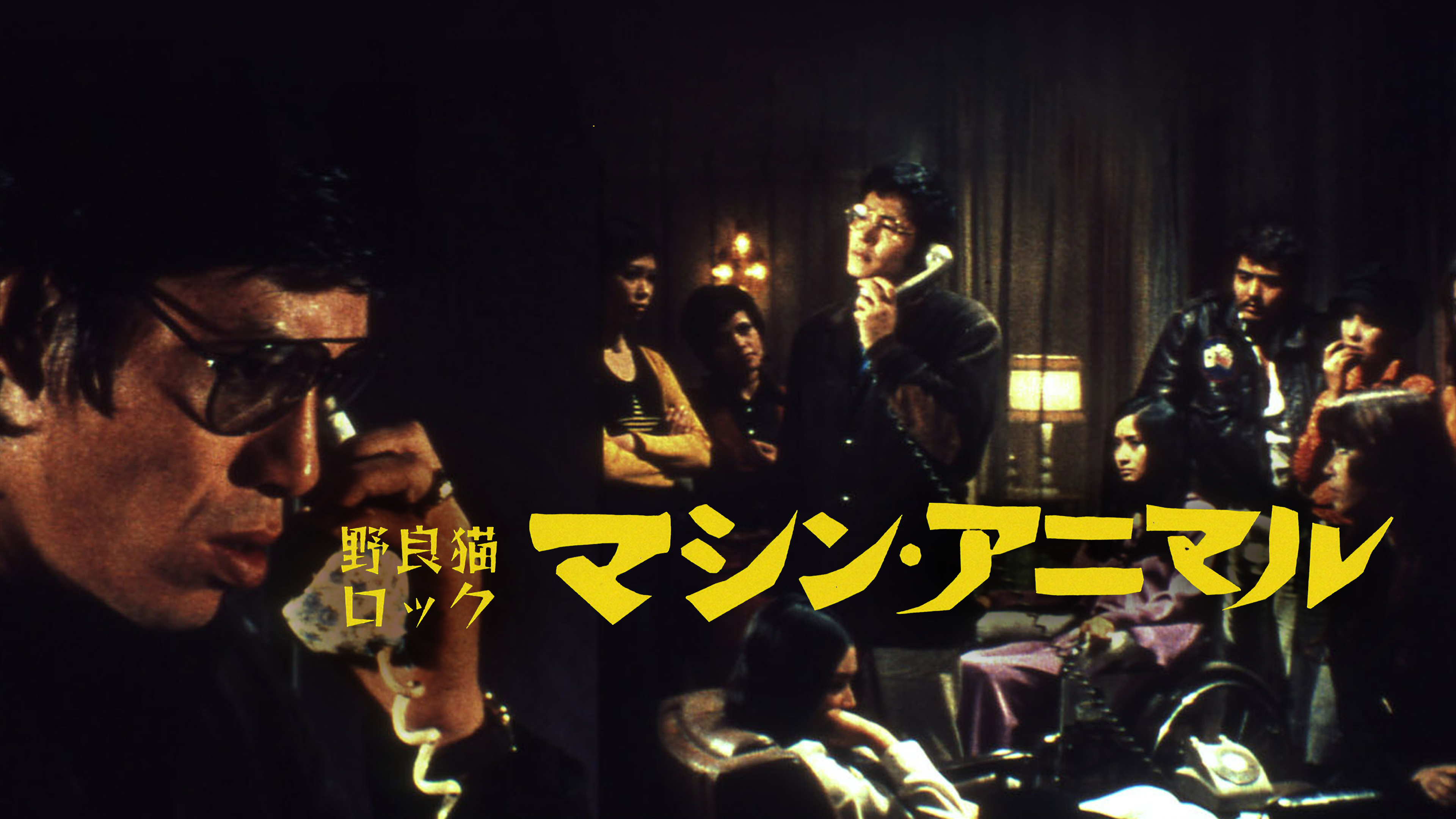 Amazon.co.jp: 野良猫ロック マシン・アニマルを観る | Prime Video