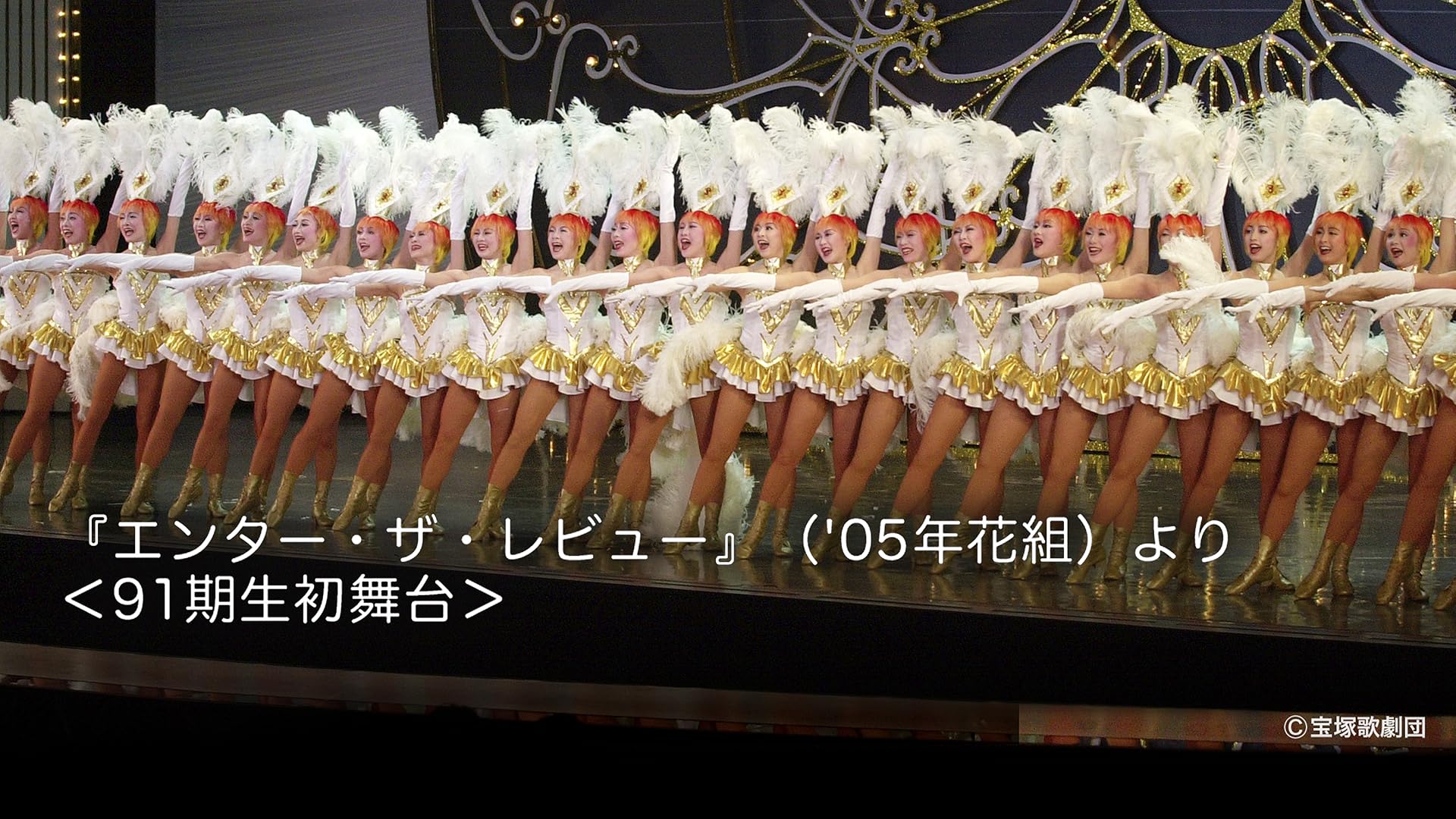 宝塚歌劇　月組公演シニョール　ドン・ファン／花の宝塚風土記 宝塚歌劇 公演案内