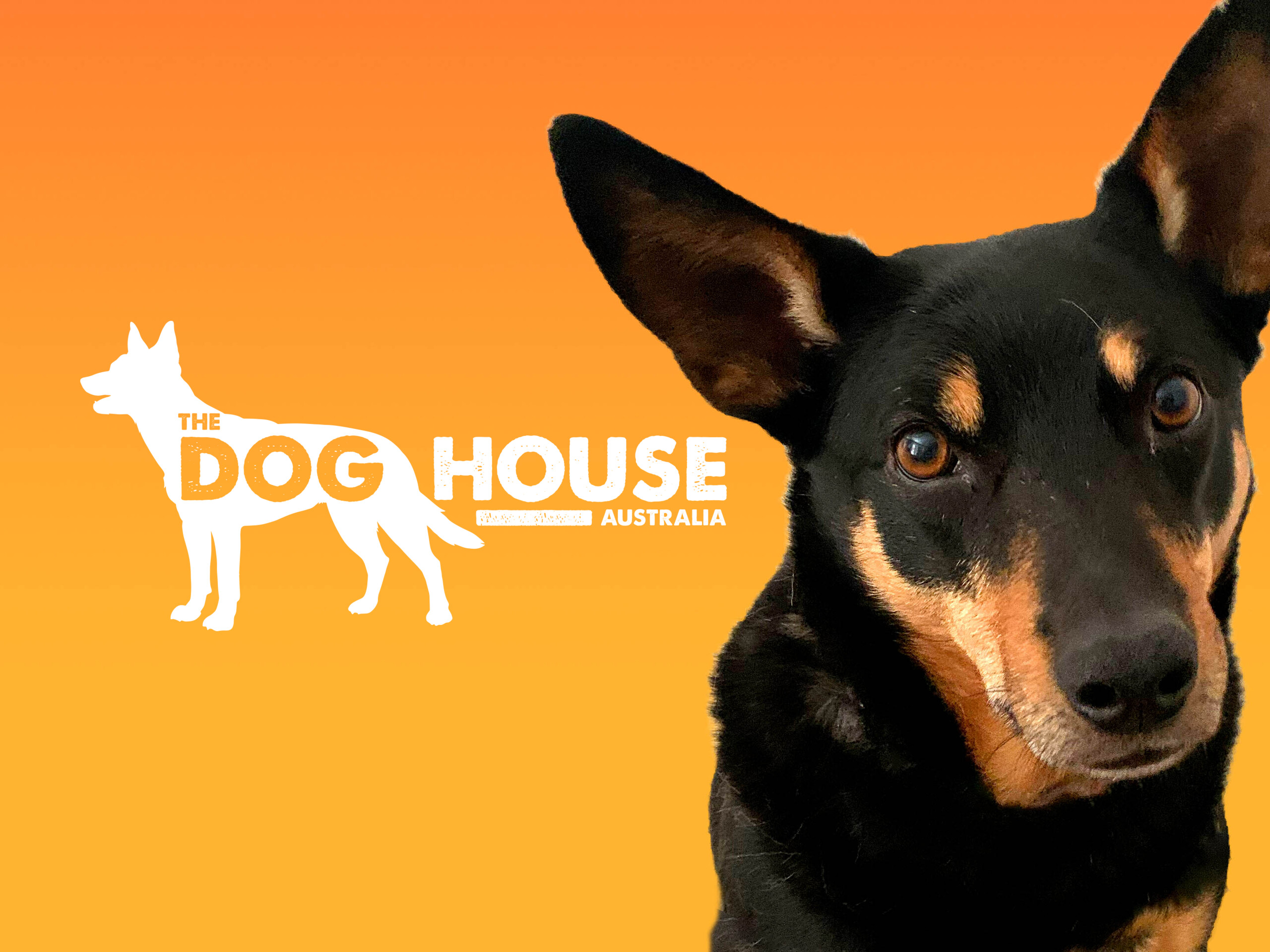 Prime Video The Dog House Australia Season 4