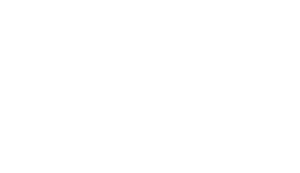 الفأر