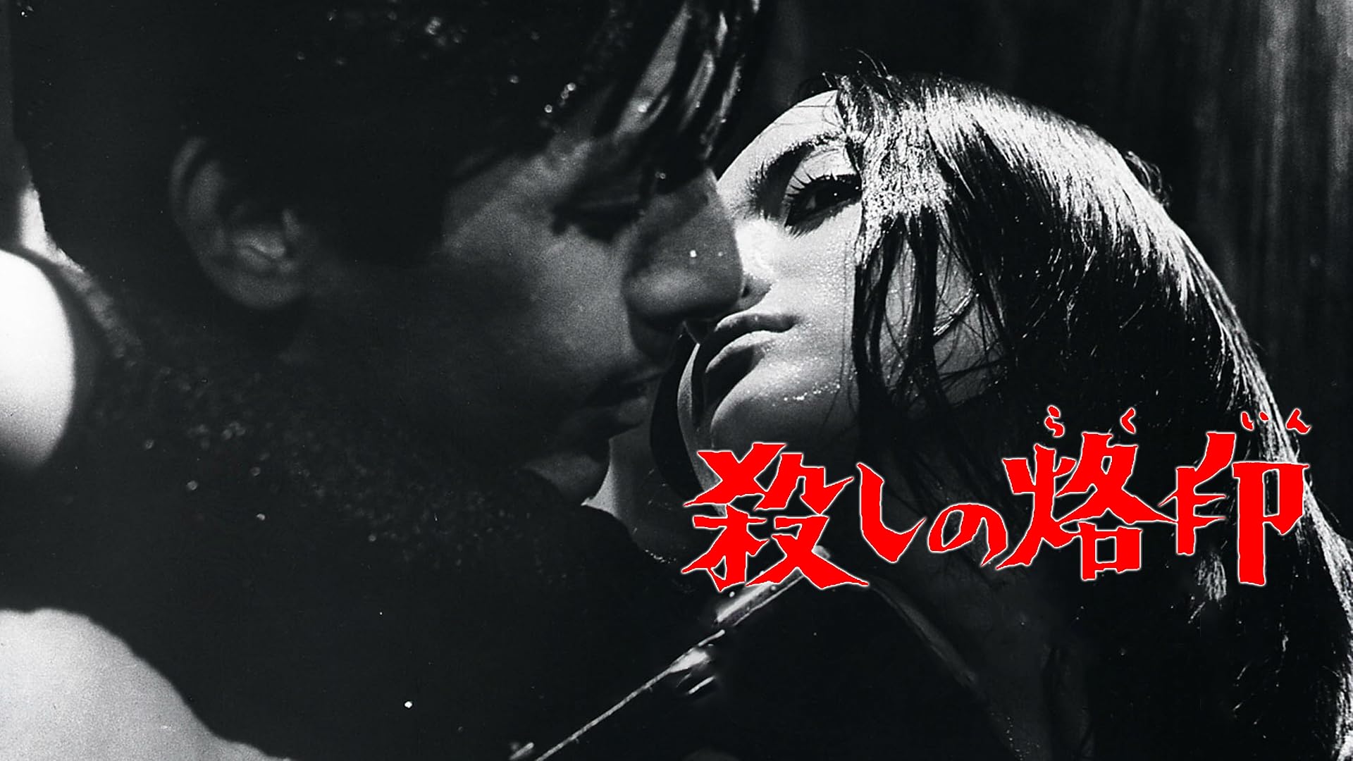 Amazon.co.jp: 美しさと哀しみとを観る | Prime Video