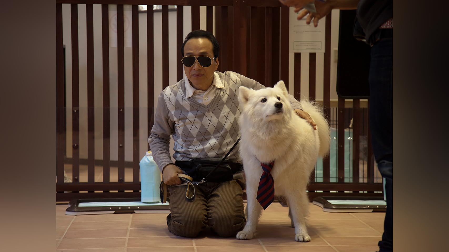 犬飼さんちの犬 DVD-BOX〈3枚組〉＋映画 Amazon.co.jp: 映画版 犬飼さんちの犬 [DVD] : 小日向文世