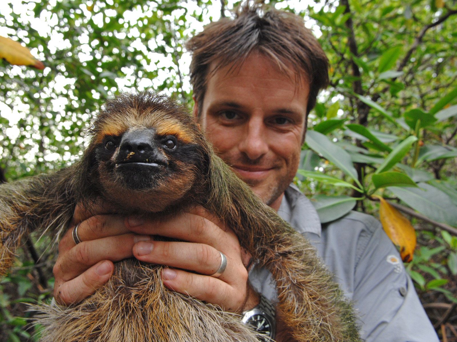 その他 Weird Creatures With Nick Baker Series 2 [DVD] その他 Weird Creatures With Nick Baker Series 2 [DVD] Amazon