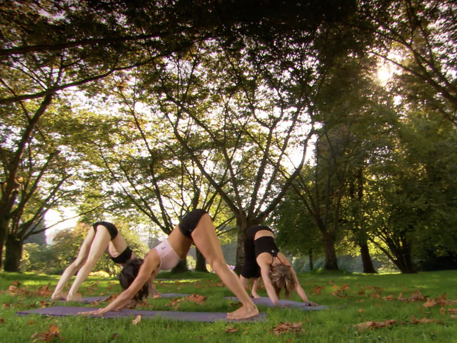 Prime Video: Namaste Yoga