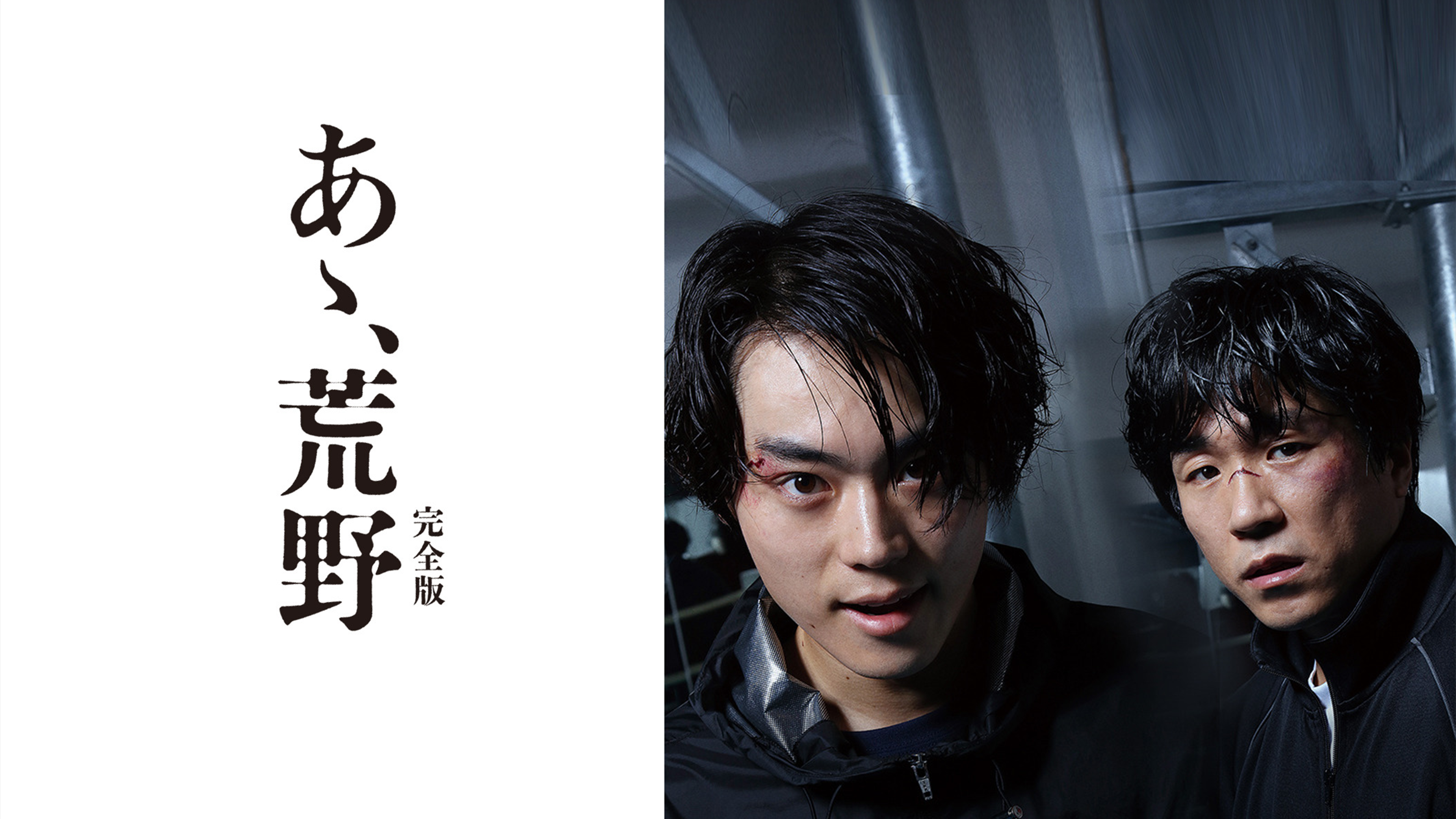 あゝ、荒野 (特装版) DVD-BOX　菅田将暉 主演作　未開封 Amazon.co.jp: あゝ、荒野 (特装版) DVD-BOX : 菅田将暉, ヤン