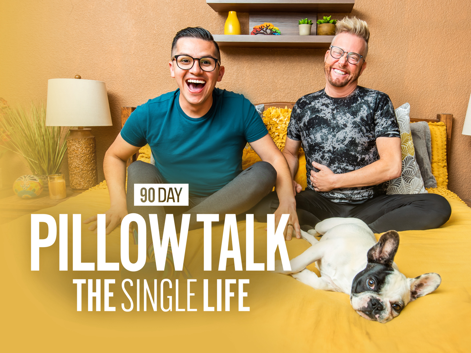 Prime Video 90 Day Pillow Talk The Single Life Season 3