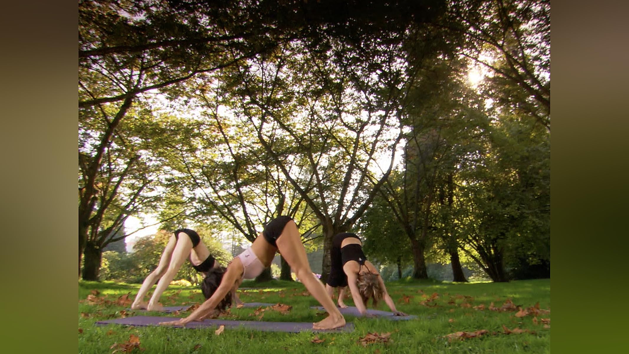 「NAMASTE YOGA PRACTICE」 Season One Amazon.com: Namaste Yoga: Season 1 Part 1 : Kate Potter