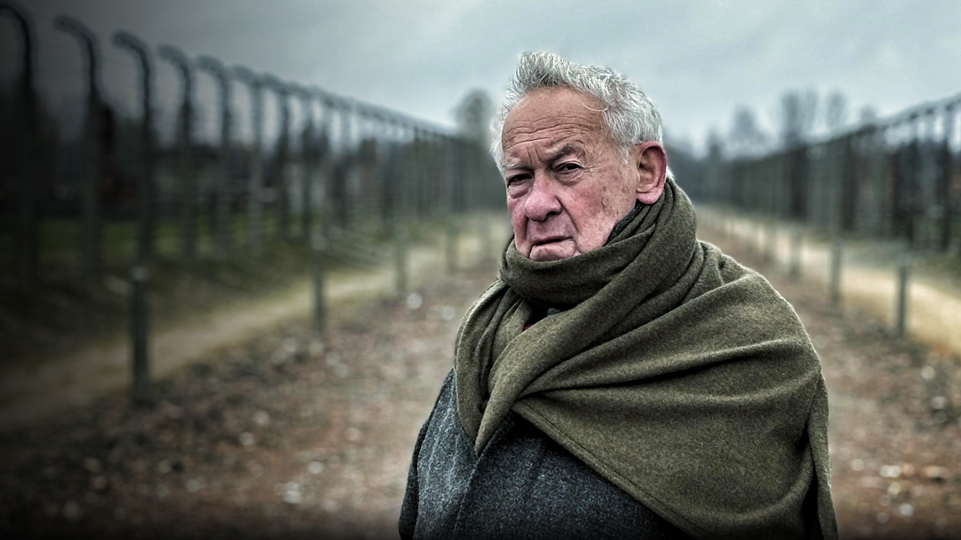 Prime Video: Simon Schama: The Holocaust, 80 Years On