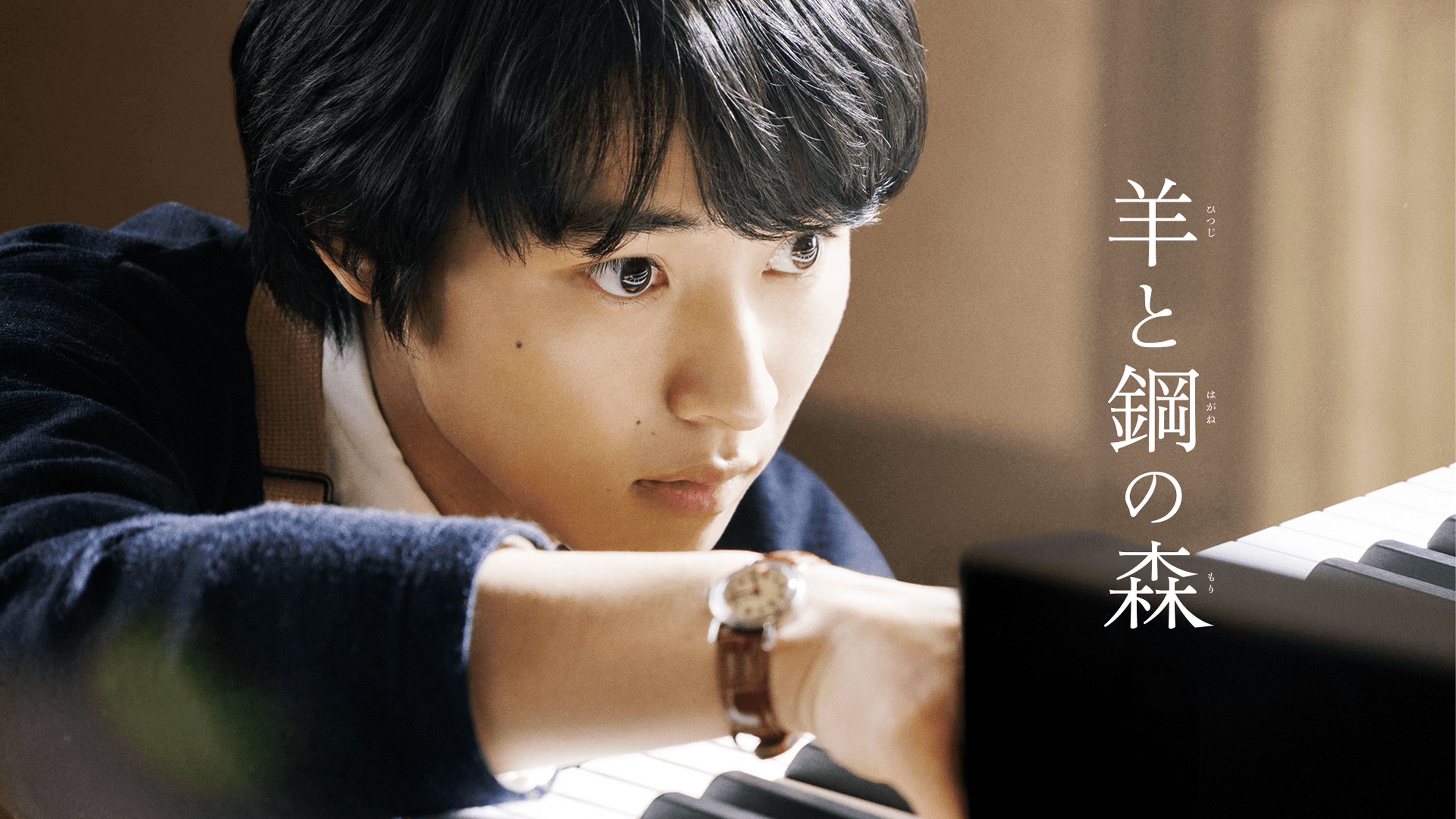 (未使用･未開封品)　羊と鋼の森 DVD豪華版 bt0tq1u Amazon.co.jp: 羊と鋼の森 DVD豪華版 : 山﨑賢人, 鈴木亮平, 上