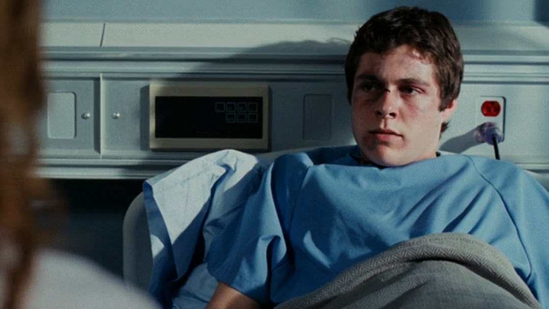 Stir of Echoes: Homecoming, The