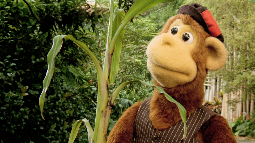 Milkshake! Monkey