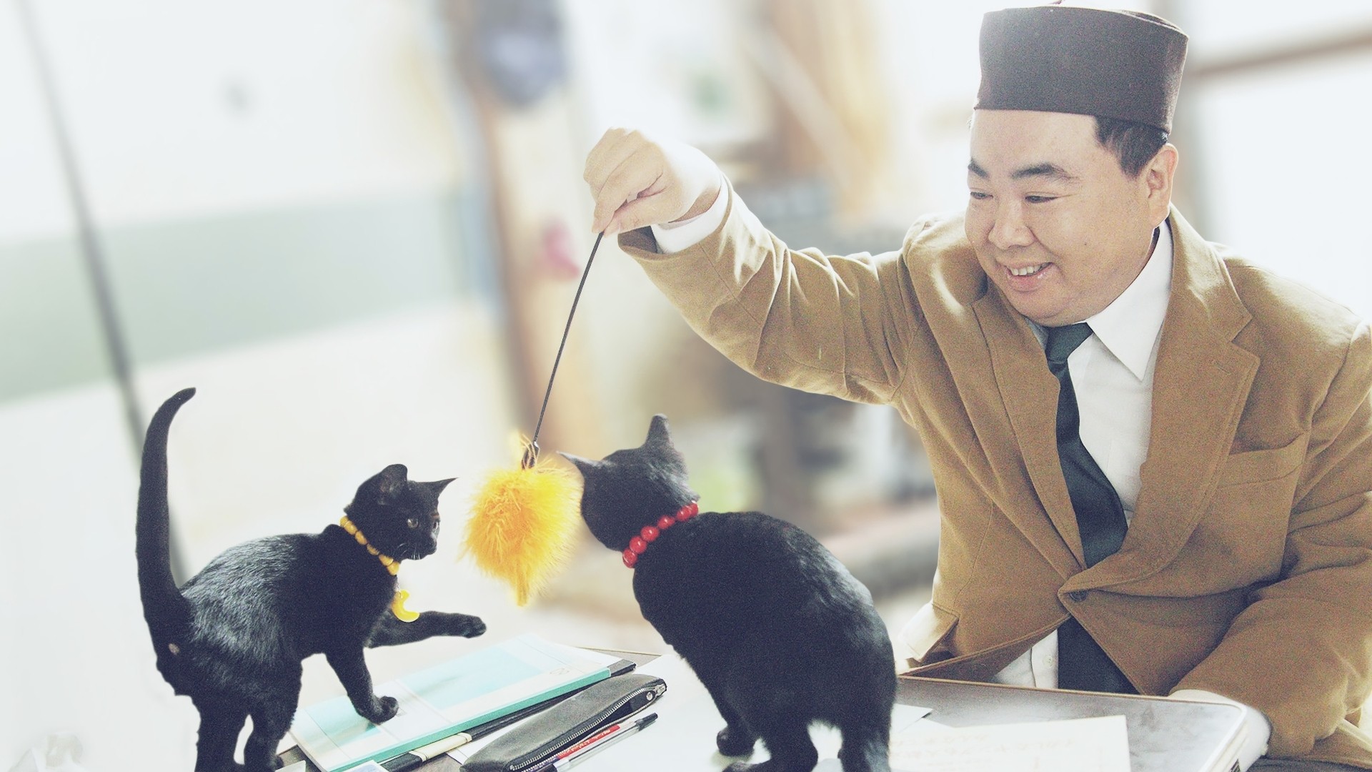 Amazon.co.jp: 映画版くろねこルーシーを観る | Prime Video