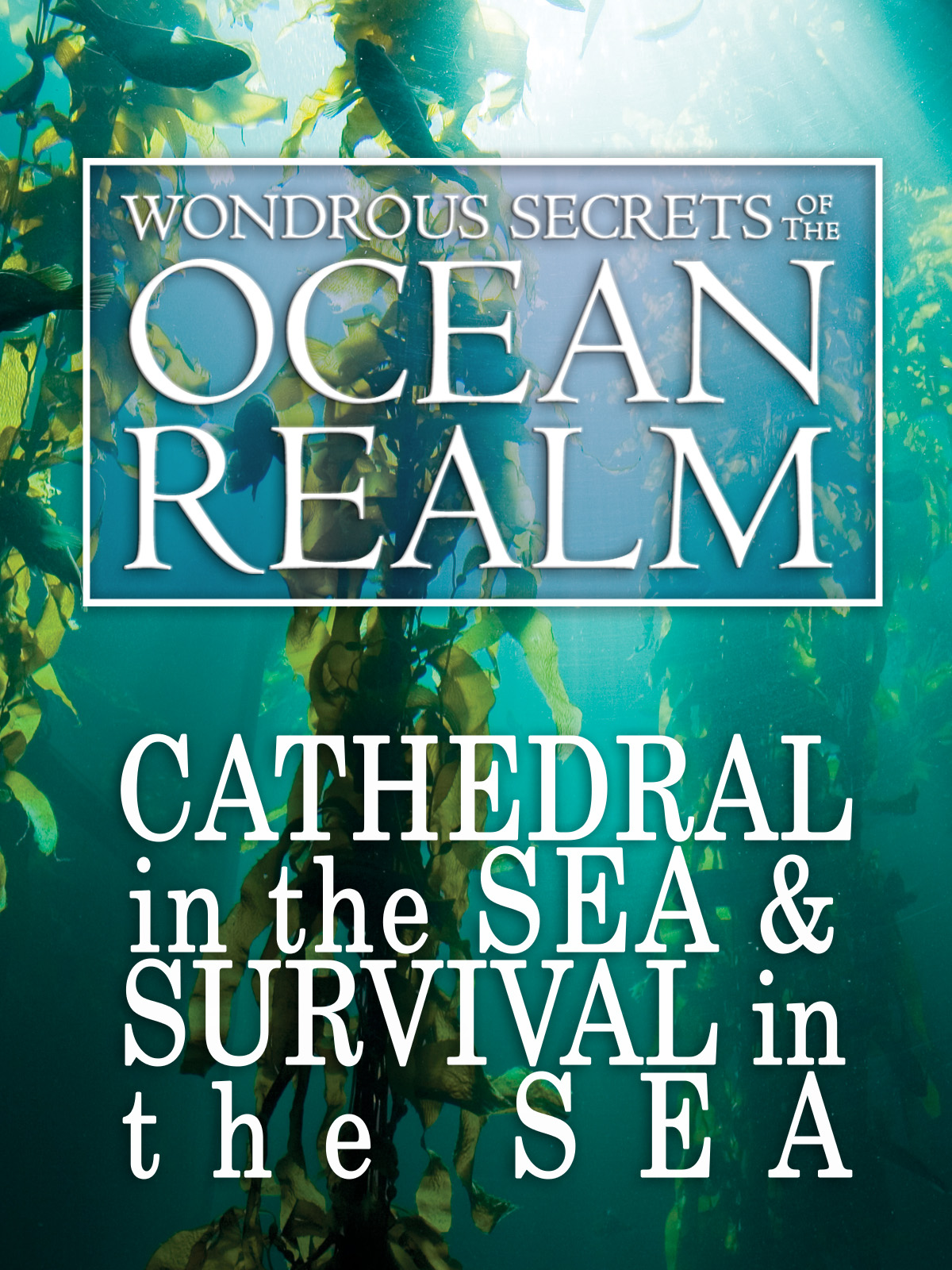 Prime Video: Wondrous Secrets of the Ocean Realm: Cathedral