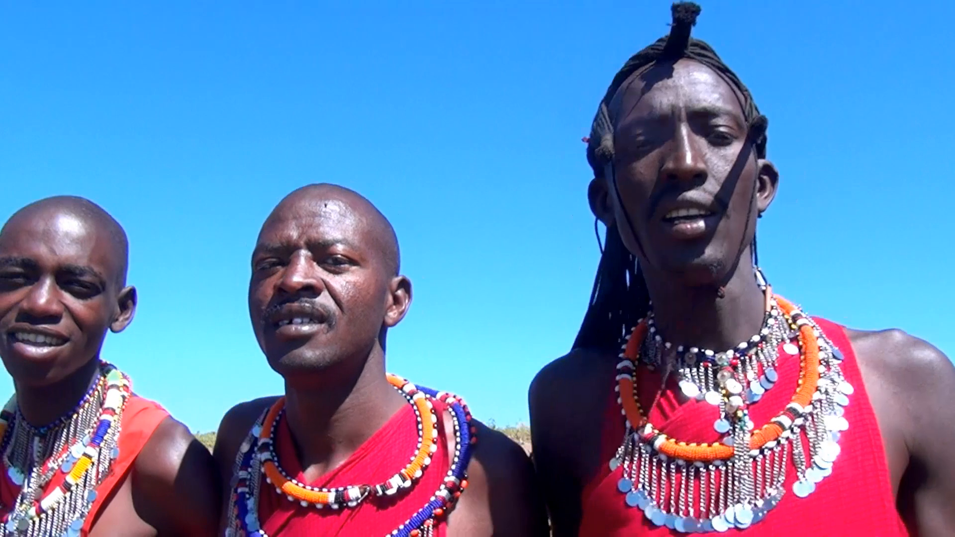 その他 Nature Tracks: Wild Africa: Season 1 [DVD] Amazon.com: Wild Africa: (BBC Atlas of the Natural World