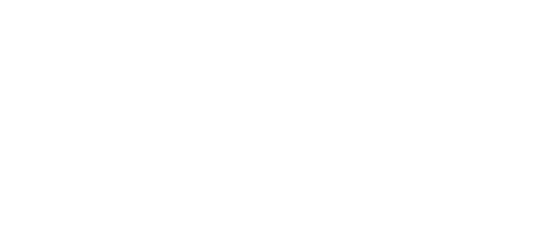 द ऑर्डर