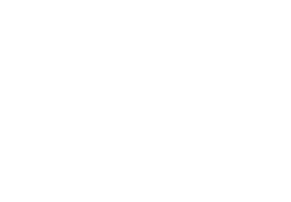 ディッシュ・イット・アウト ~箱から広がる世界のレシピ~