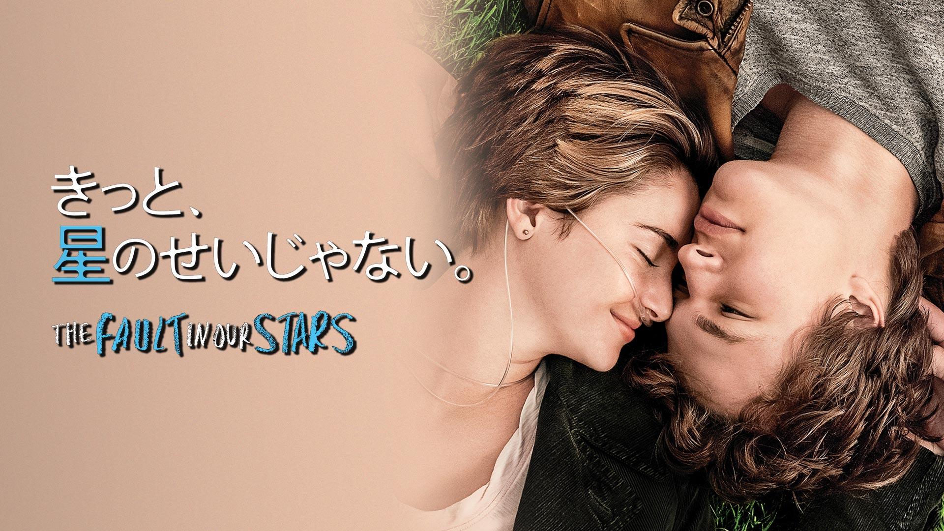 (未使用･未開封品)　スウィート17モンスター [DVD] 6k88evb スウィート17モンスター : 作品情報・キャスト・あらすじ・動画