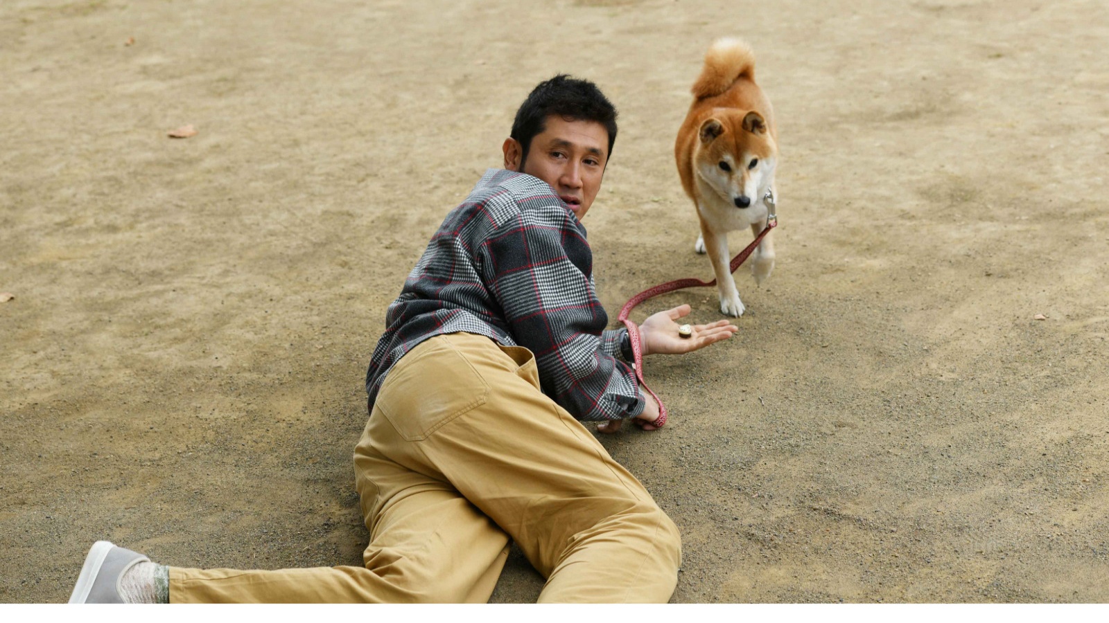 柴公園を観る | Prime Video