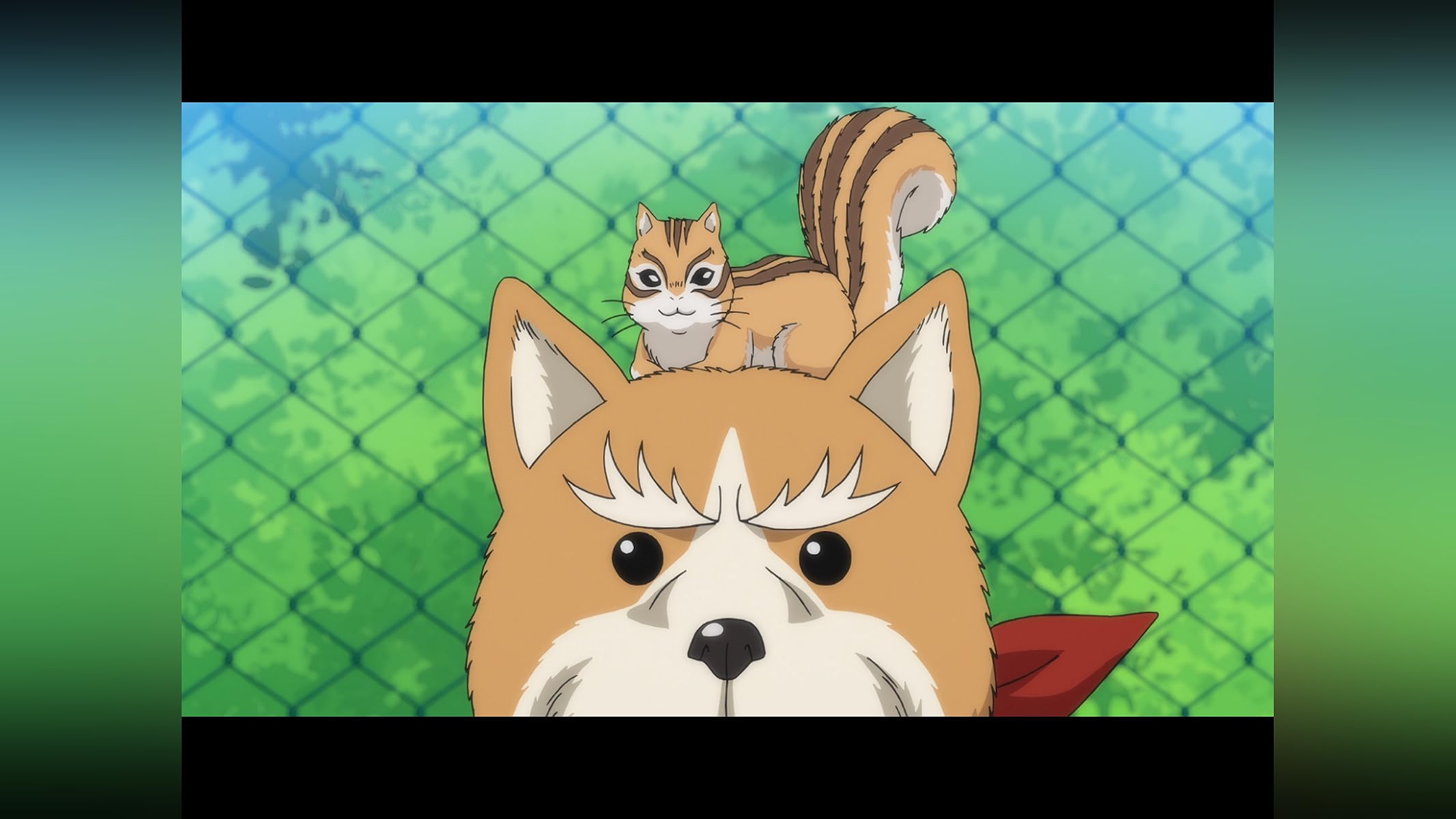 織田シナモン信長 1 BD [Blu-ray] 織田シナモン信長 1 BD [Blu-ray] Amazon.co.jp: 織田シナモン