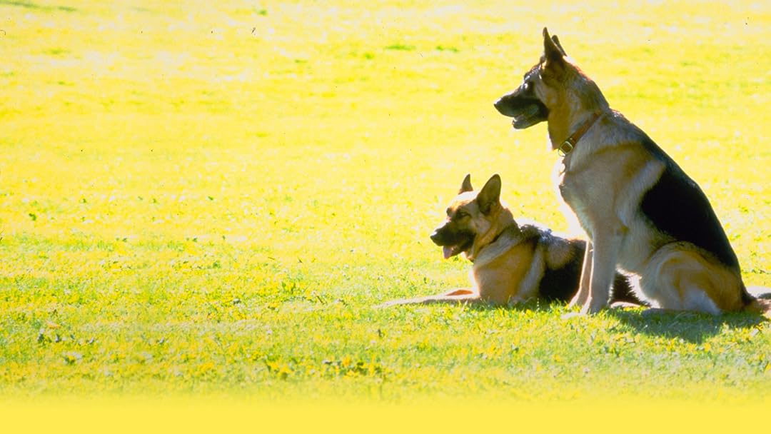 K-9: P.I.