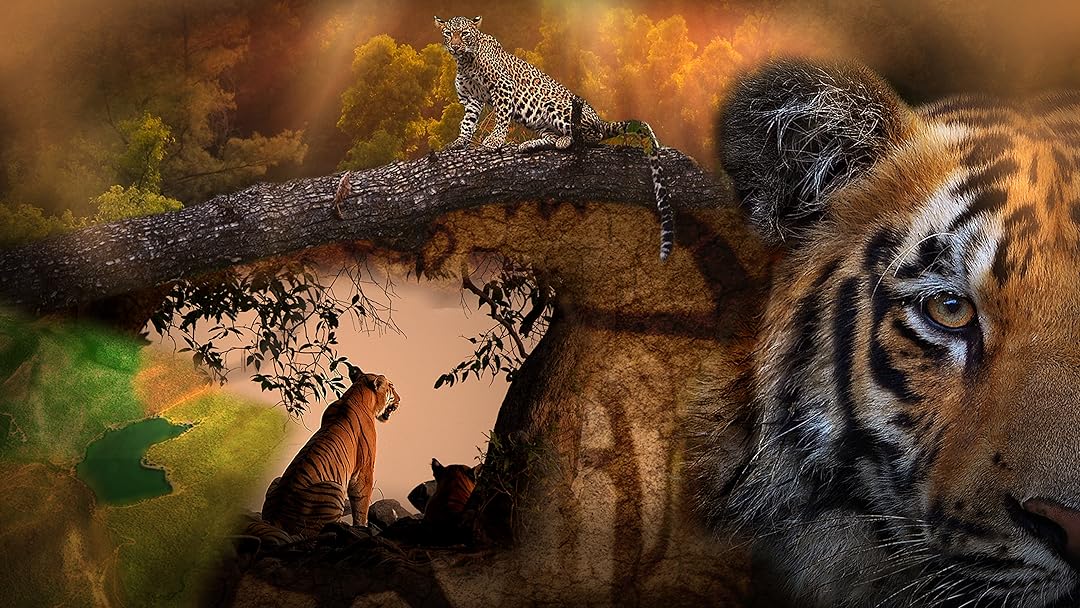 Tiger Legacy