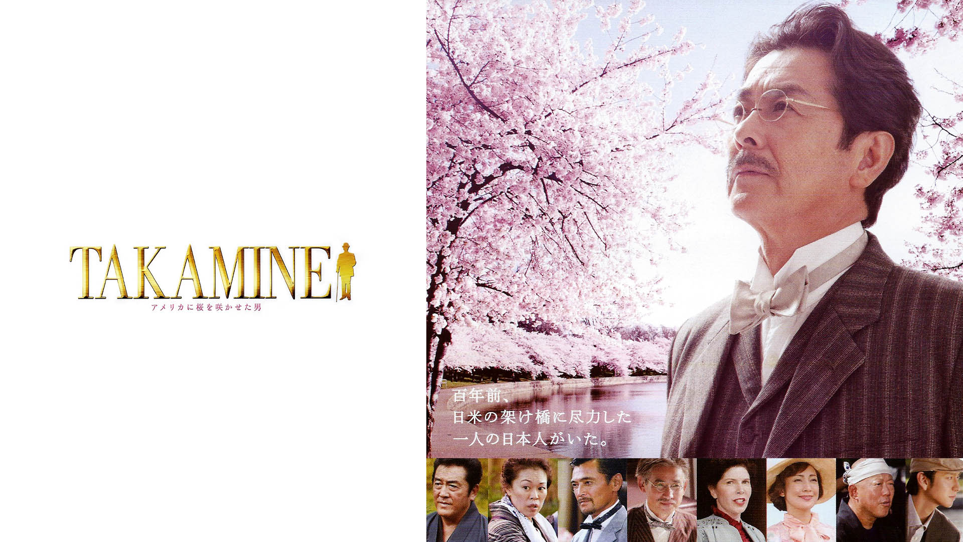 8e3a245085d6a0d328fc7a6031b9d4