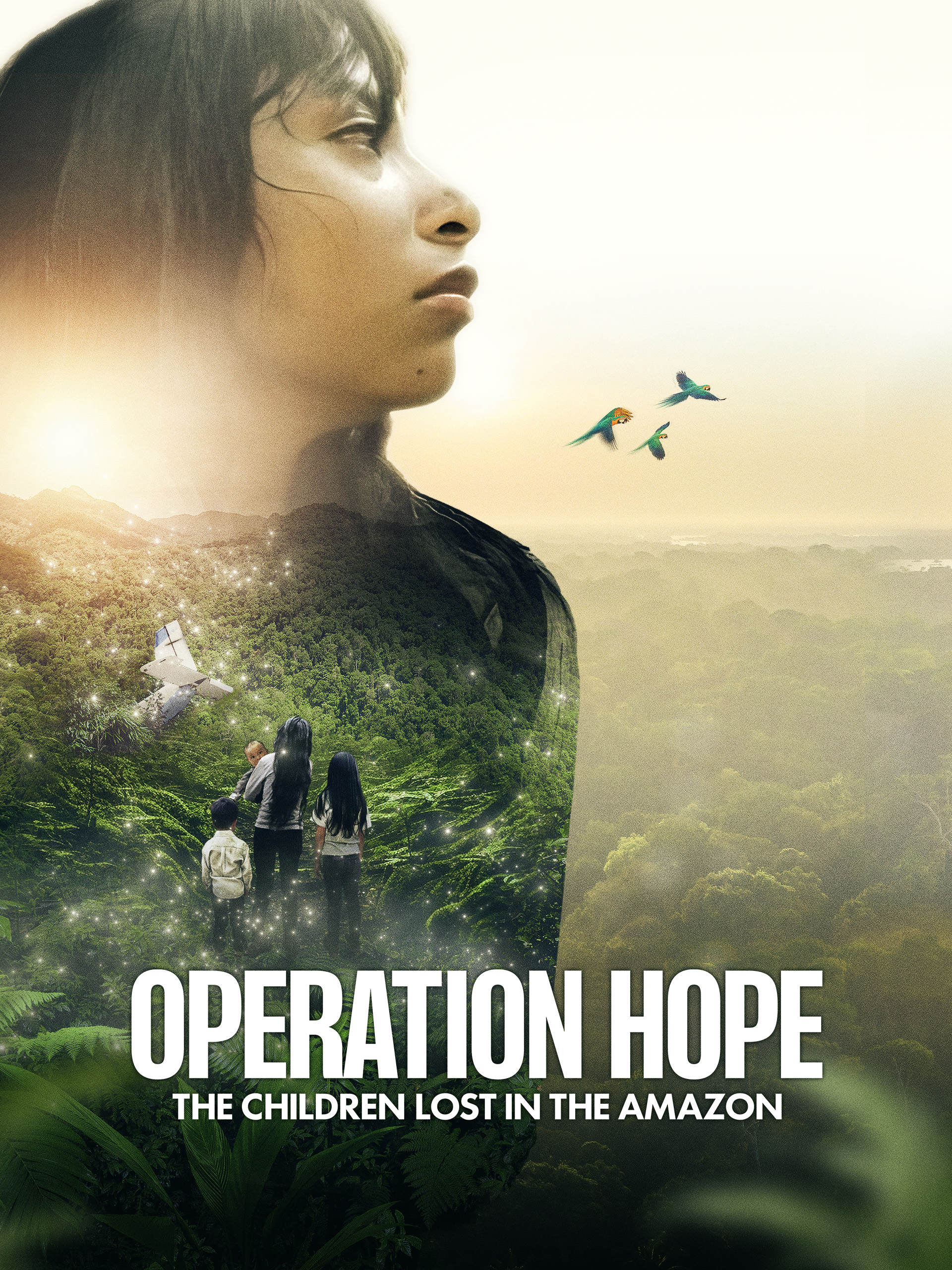 邦楽 STORY OF HOPE - lost in forest STORY OF HOPE - lost in forest